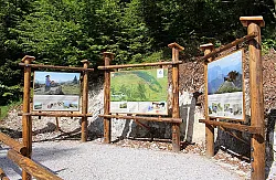 IMG-0168-750px-web.jpg